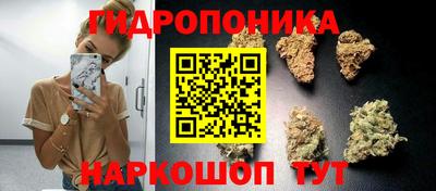 круглые Прокопьевск