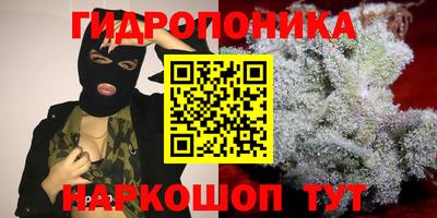 круглые Прокопьевск