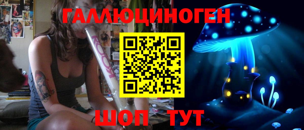 где можно купить наркотик  Вход с VPN  Ачинск  Псилоцибиновые грибы Psilocybine cubensis 